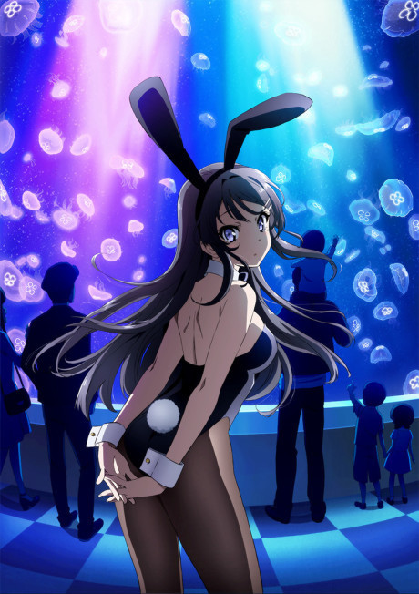 Rascal Does Not Dream of Bunny Girl Senpai Episode 13